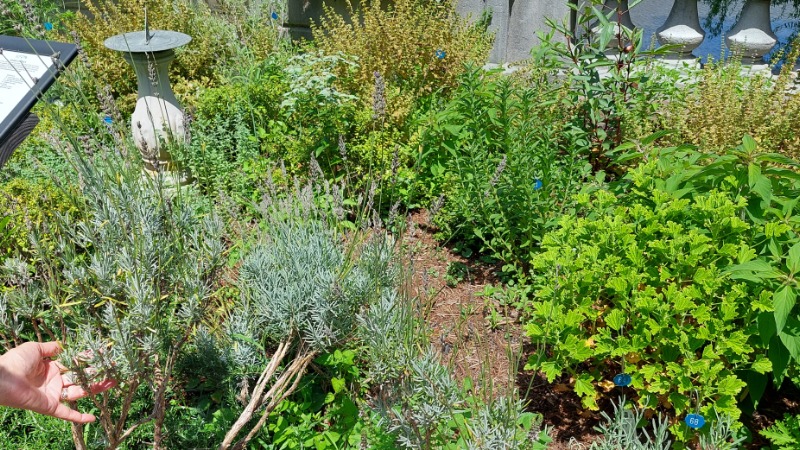 food sovereignty